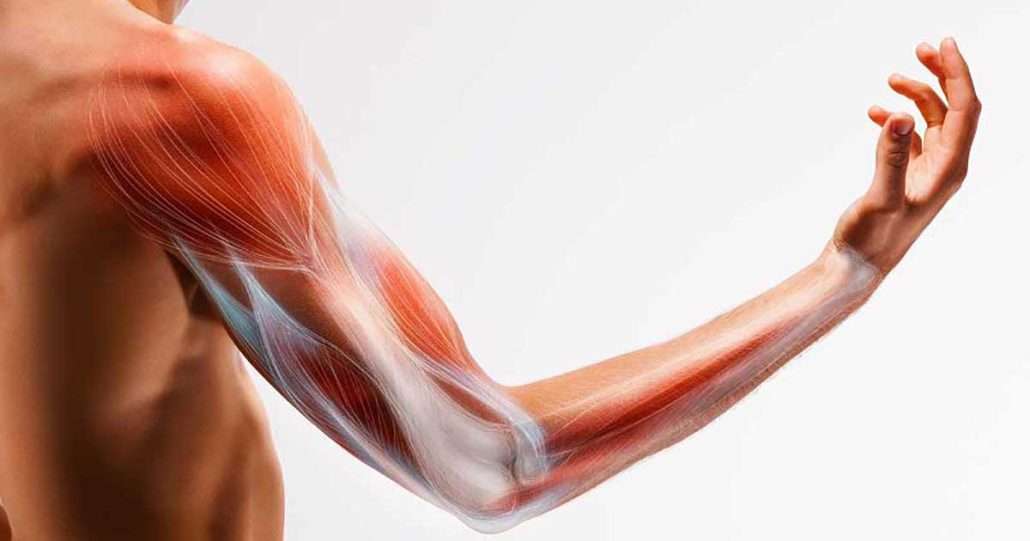 هزینه نوار عصب و عضله با بیمه تکمیلی