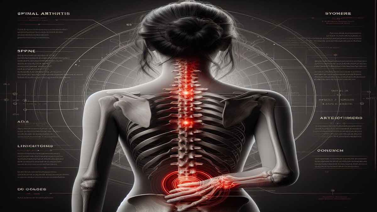 آناتومی ستون فقرات