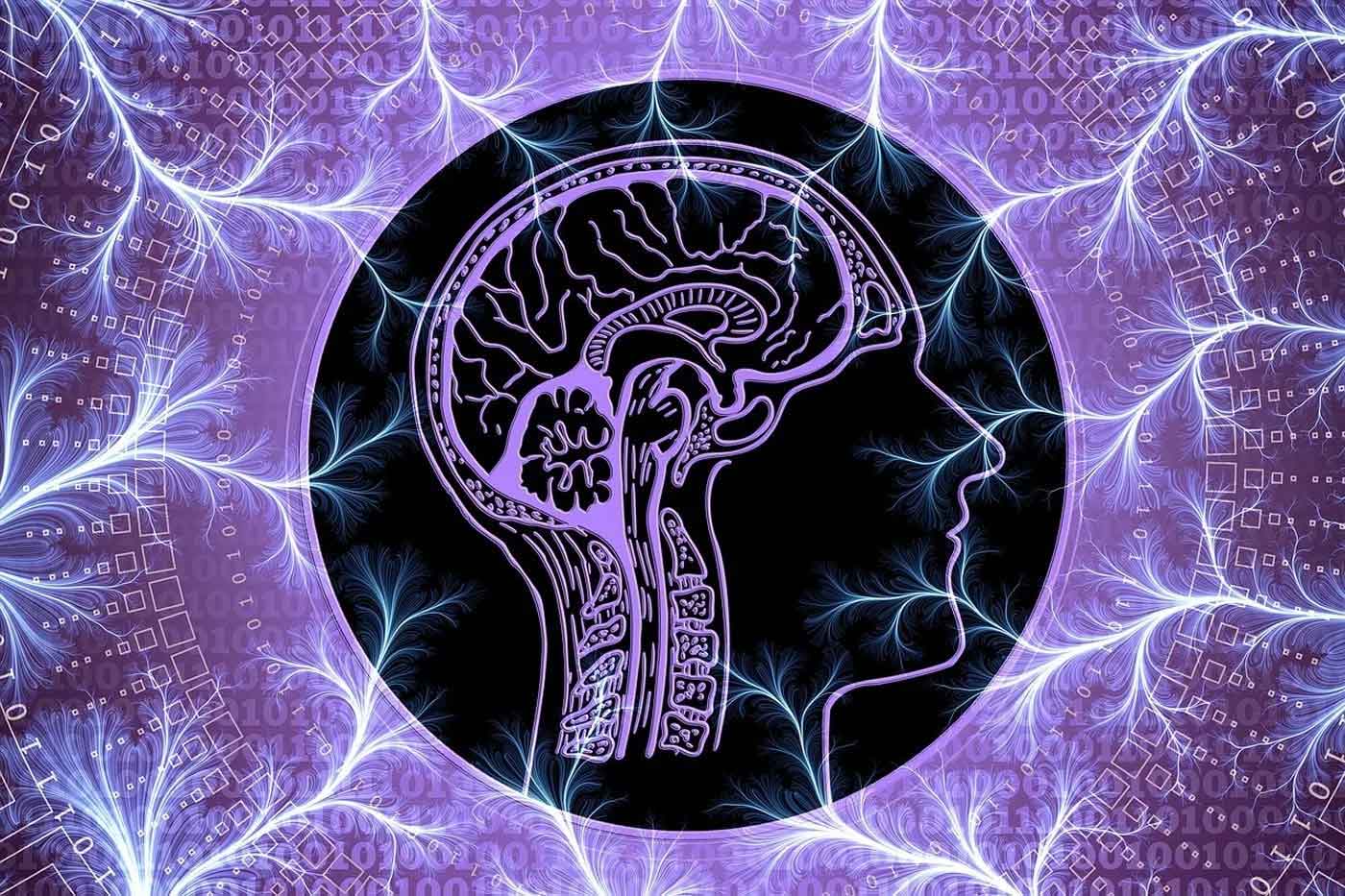 ام اس، نبردی درونی