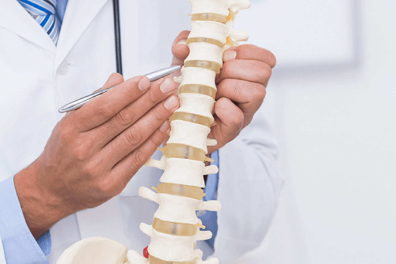 پزشک در حال توضیح شماره مهره های ستون فقرات