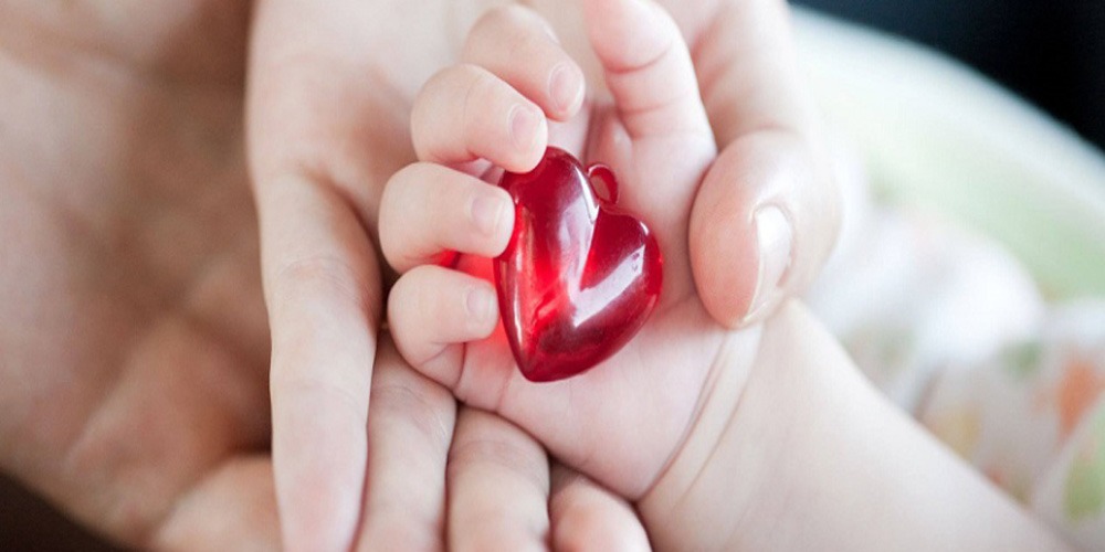 قیمت اکو قلب هزینه اکو قلب نوزاد با دفترچه تامین اجتماعی