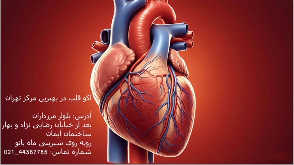 هزینه اکو قلب در بیمارستان خصوصی 1403 ( با بیمه و بدون بیمه)