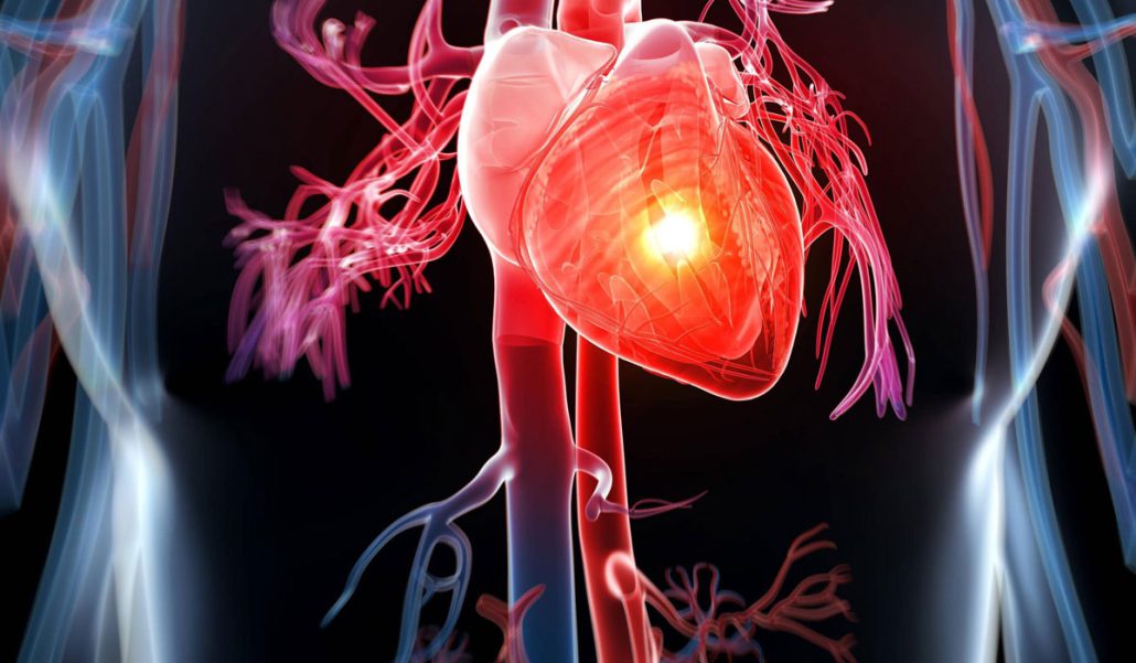 هزینه اکو داپلر رنگی قلب با بیمه تکمیلی و تامین اجتماعی 1403