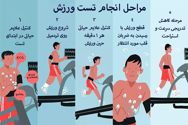 مراحل تست ورزش