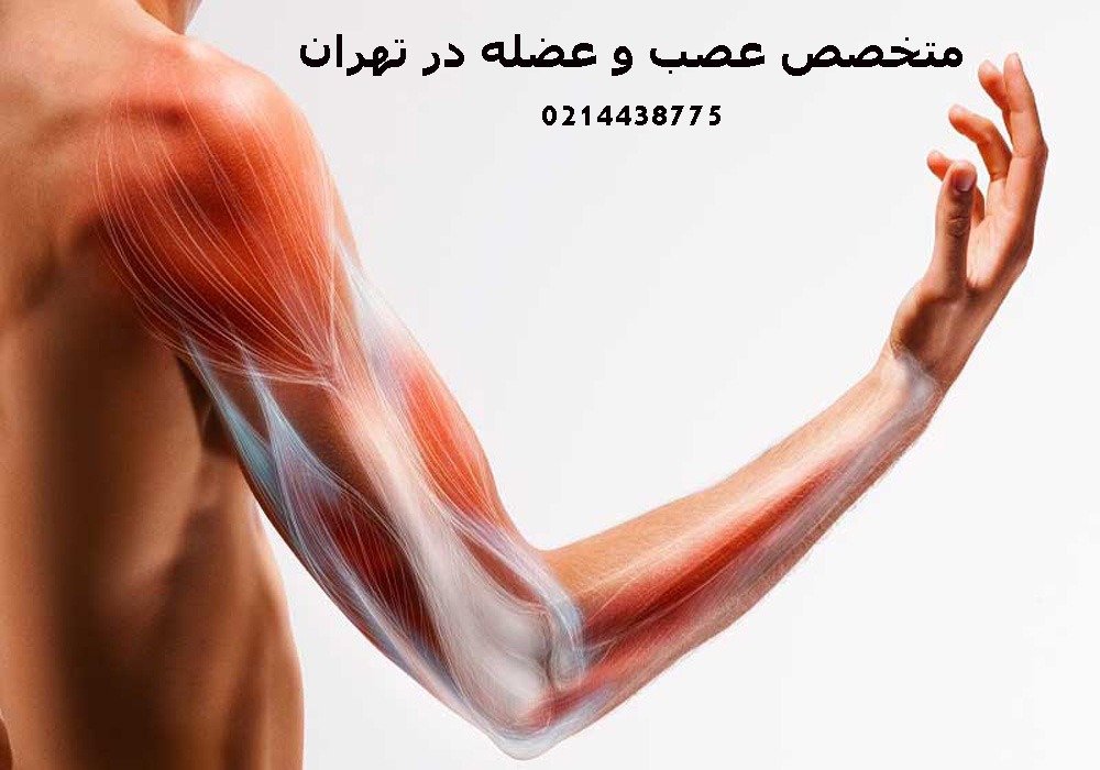 فوق تخصص عصب و عضله چه خدماتی ارائه میدهد؟