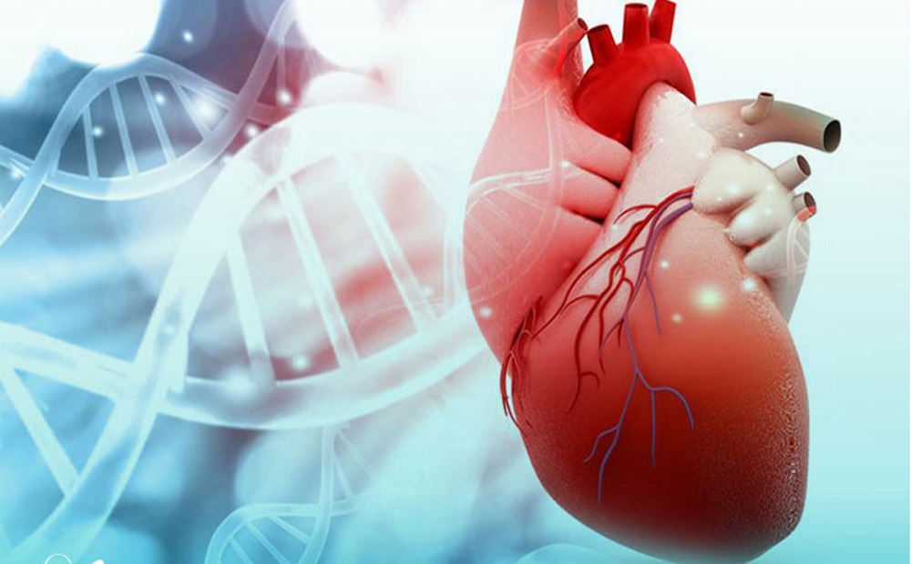 درمان بیماری قلبی آیا نارسایی قلبی درمان میشود