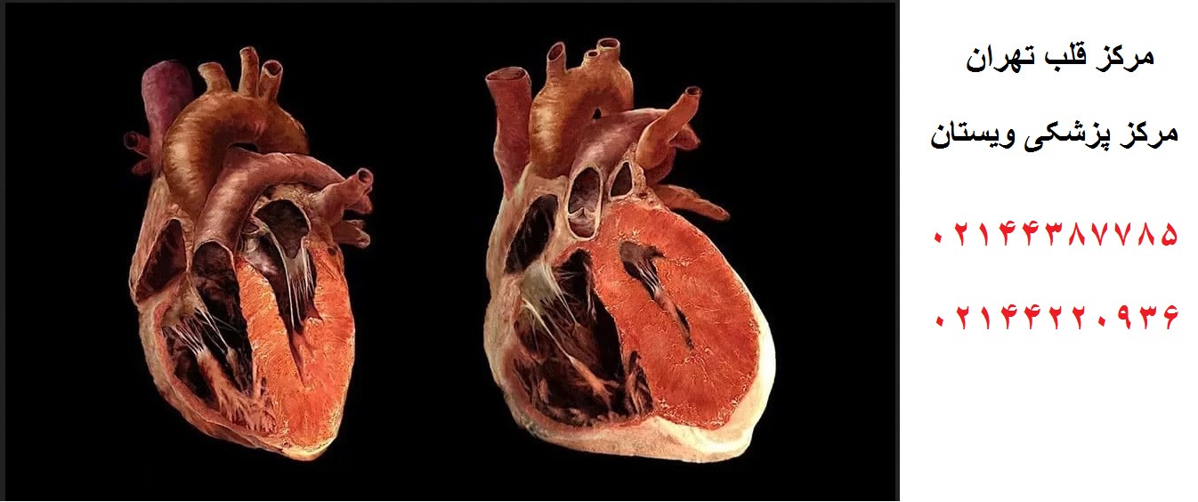 عمر قلب بزرگ