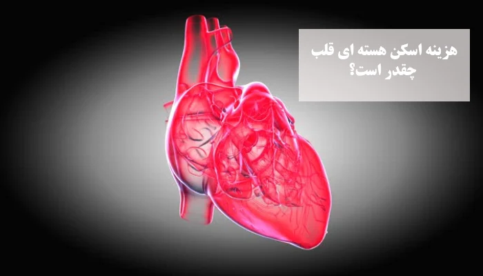 اهمیت اسکن قلب