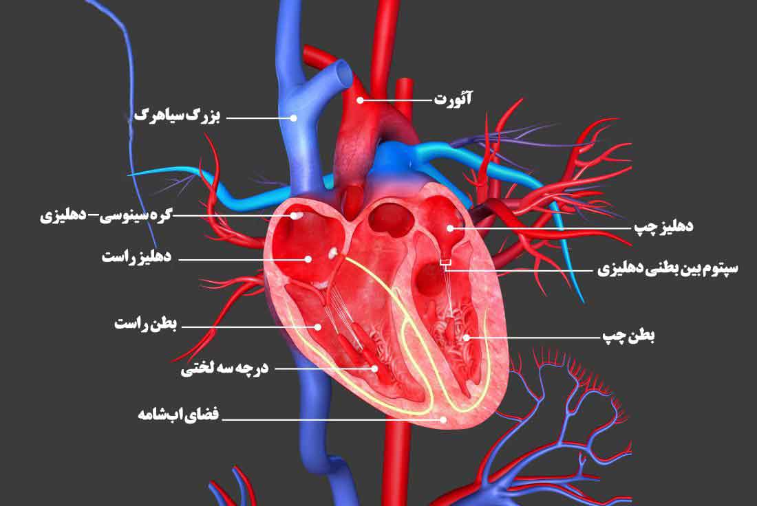 درمان مسشکلات قلبی عروقی 