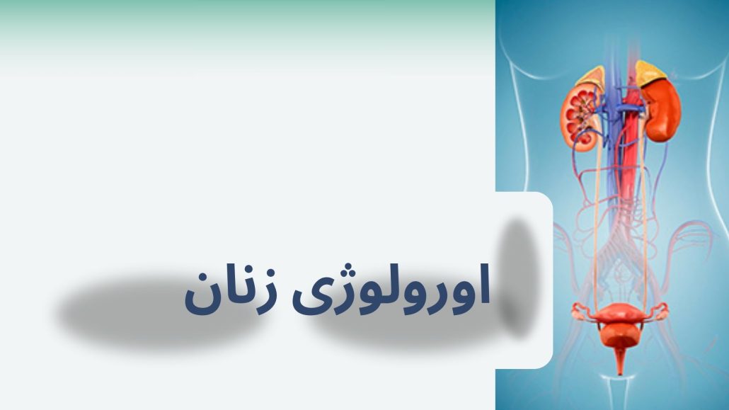 مشکلات اورولوژی در زنان ساختار دستگاه اورولوژی در زنان